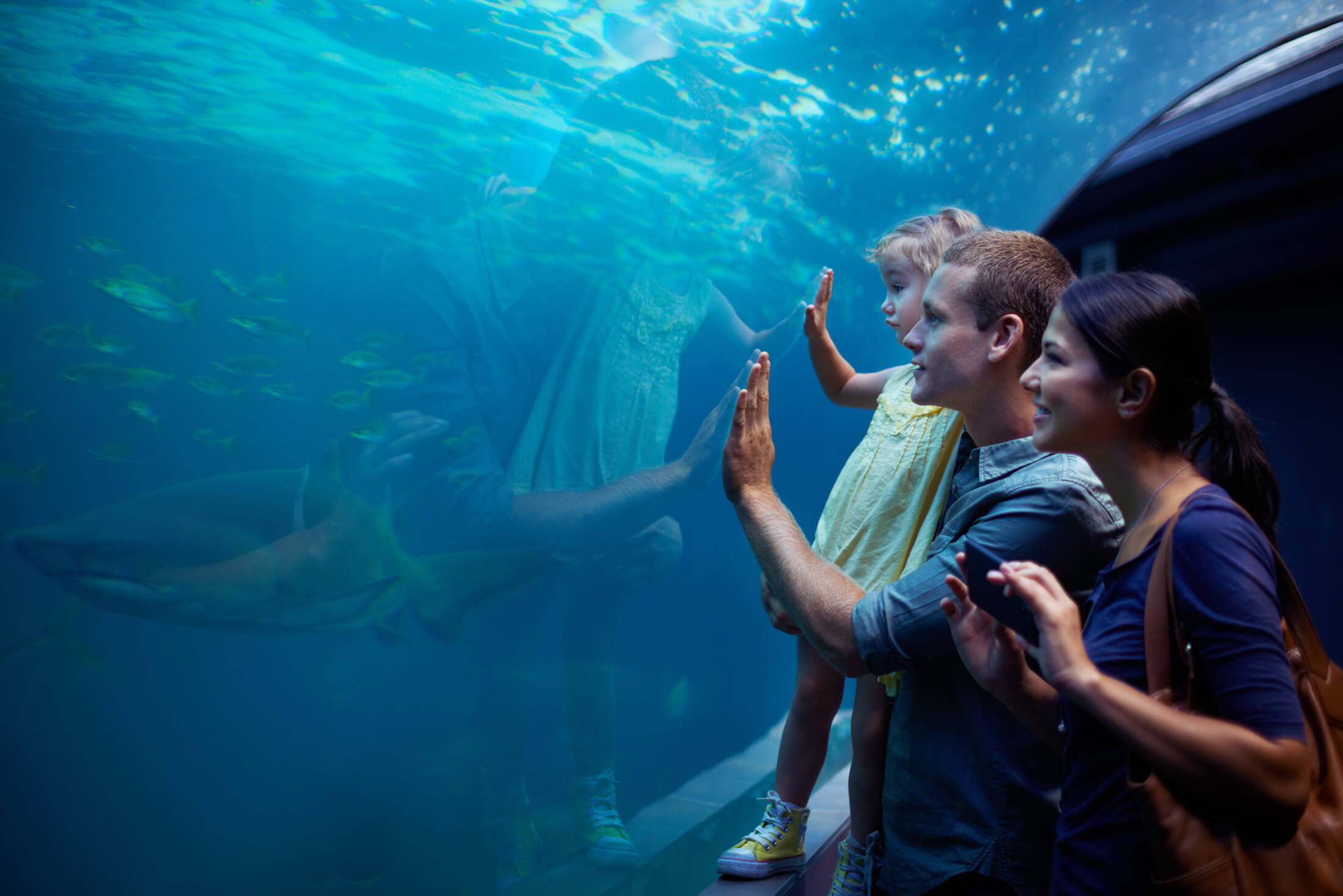 a family looking at an underwater fishtank