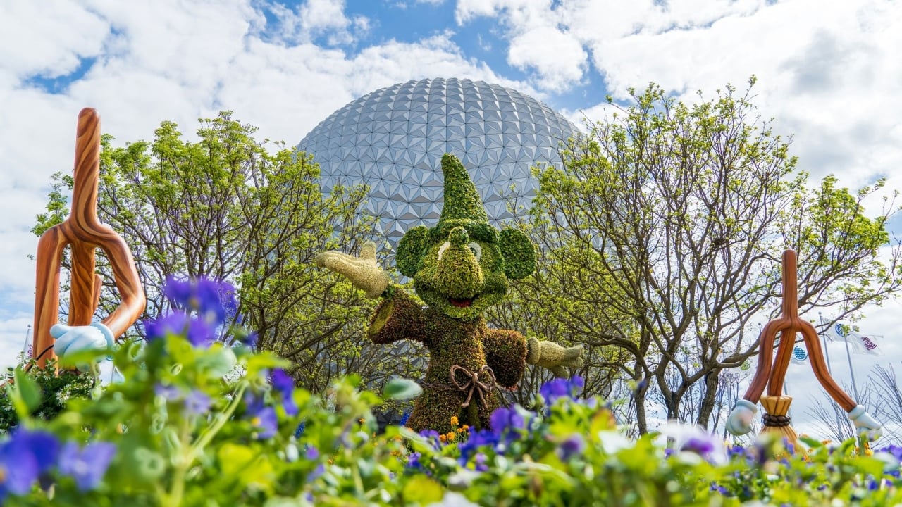 Mickey Mouse shrubs