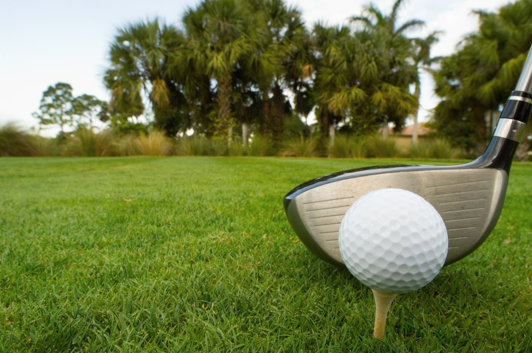 A golf club about to hit a golf ball